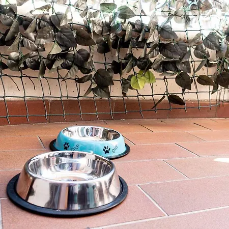 Il Cammino Apartman *