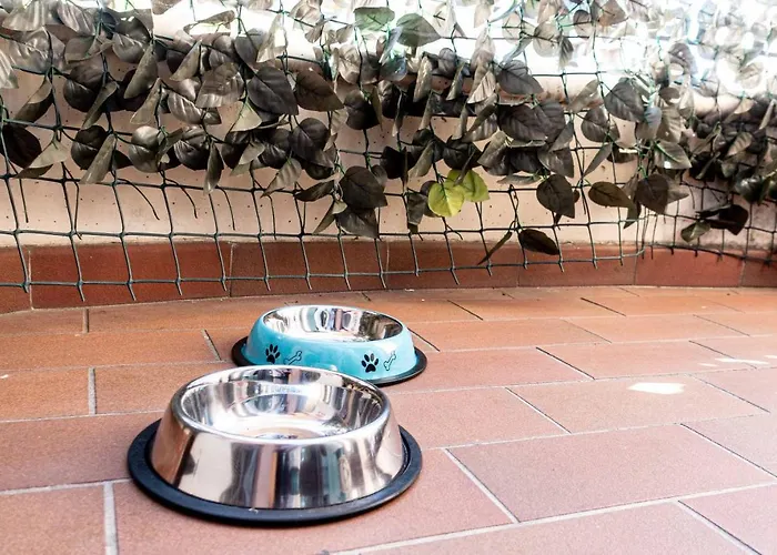 Il Cammino Apartamento *